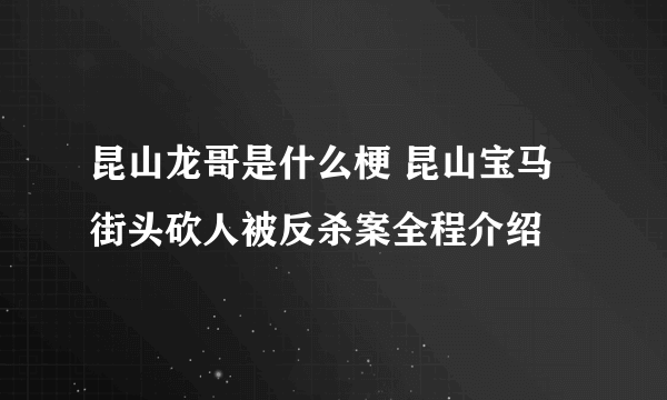 昆山龙哥是什么梗 昆山宝马街头砍人被反杀案全程介绍