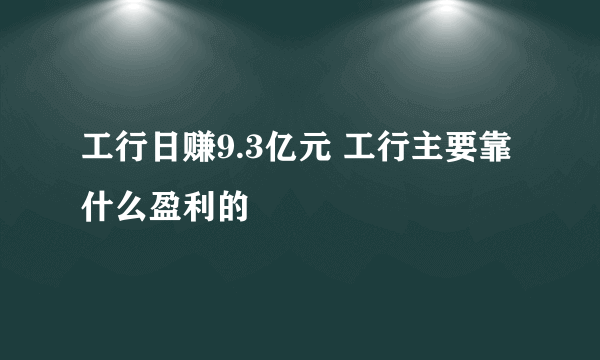 工行日赚9.3亿元 工行主要靠什么盈利的