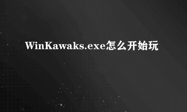 WinKawaks.exe怎么开始玩