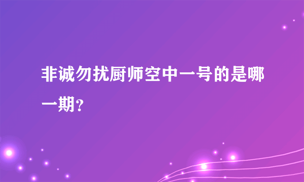 非诚勿扰厨师空中一号的是哪一期？