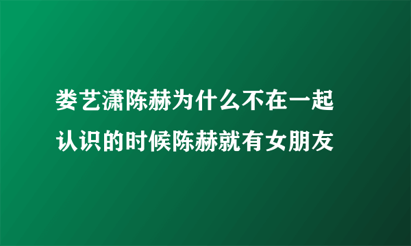 娄艺潇陈赫为什么不在一起 认识的时候陈赫就有女朋友