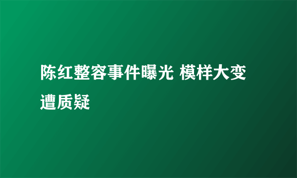 陈红整容事件曝光 模样大变遭质疑