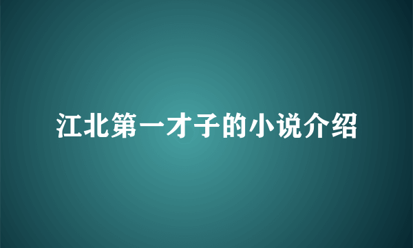 江北第一才子的小说介绍