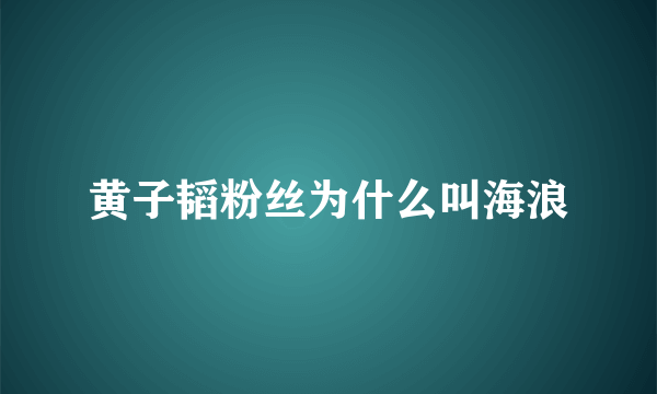 黄子韬粉丝为什么叫海浪