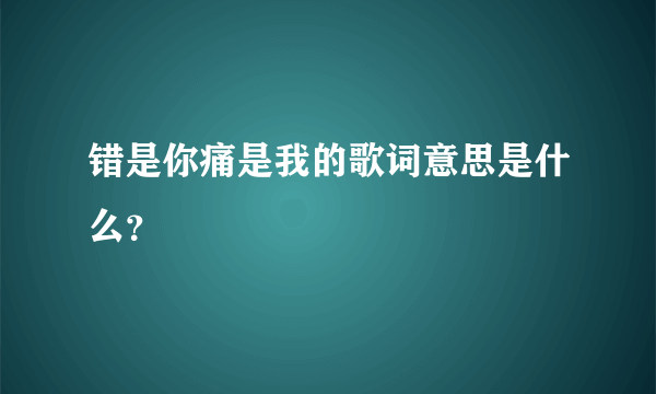 错是你痛是我的歌词意思是什么？