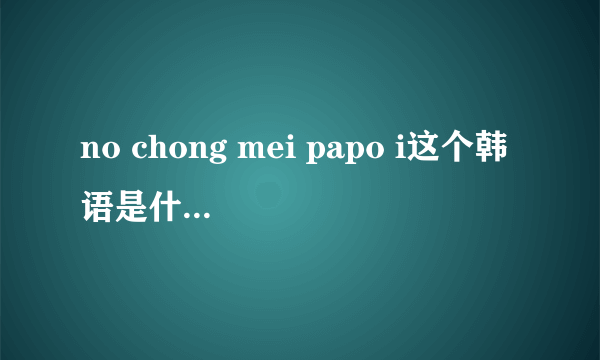 no chong mei papo i这个韩语是什么意思呀？