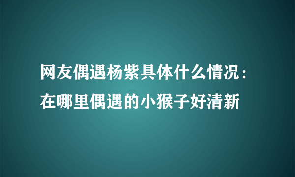 网友偶遇杨紫具体什么情况：在哪里偶遇的小猴子好清新