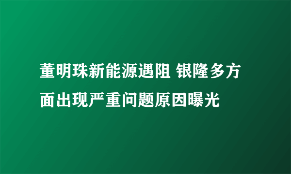 董明珠新能源遇阻 银隆多方面出现严重问题原因曝光