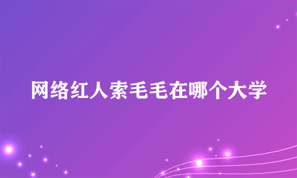 网络红人索毛毛在哪个大学