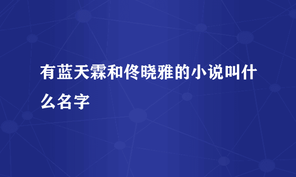 有蓝天霖和佟晓雅的小说叫什么名字