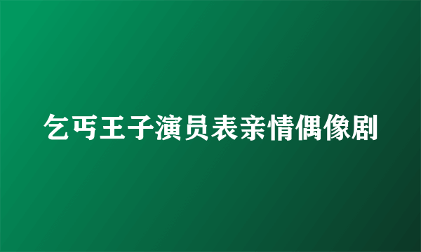 乞丐王子演员表亲情偶像剧