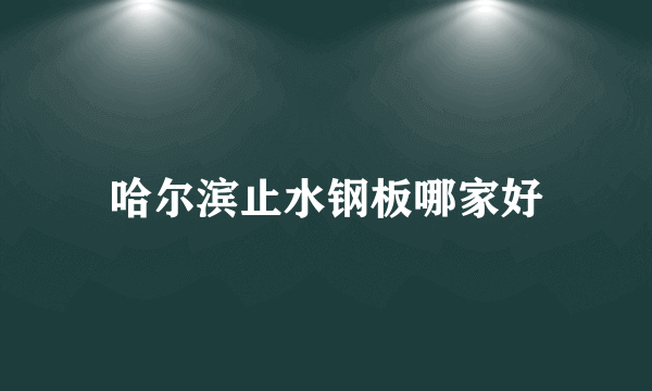 哈尔滨止水钢板哪家好