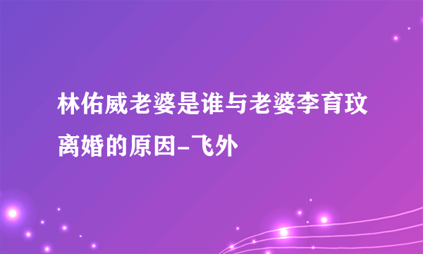 林佑威老婆是谁与老婆李育玟离婚的原因-飞外