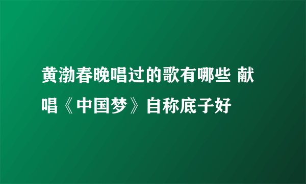 黄渤春晚唱过的歌有哪些 献唱《中国梦》自称底子好