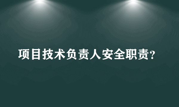 项目技术负责人安全职责？