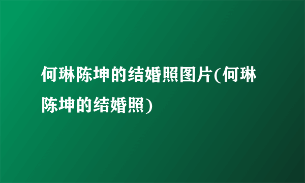 何琳陈坤的结婚照图片(何琳陈坤的结婚照)