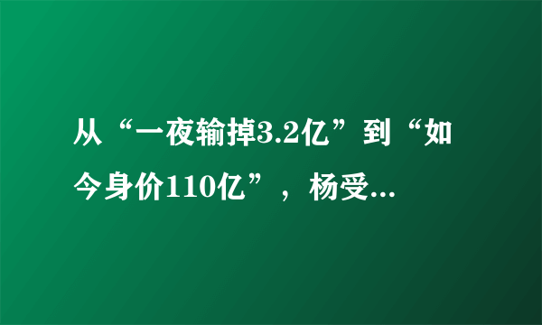 从“一夜输掉3.2亿”到“如今身价110亿”，杨受成经历了什么？