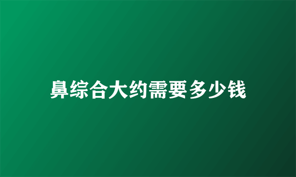 鼻综合大约需要多少钱