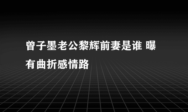 曾子墨老公黎辉前妻是谁 曝有曲折感情路