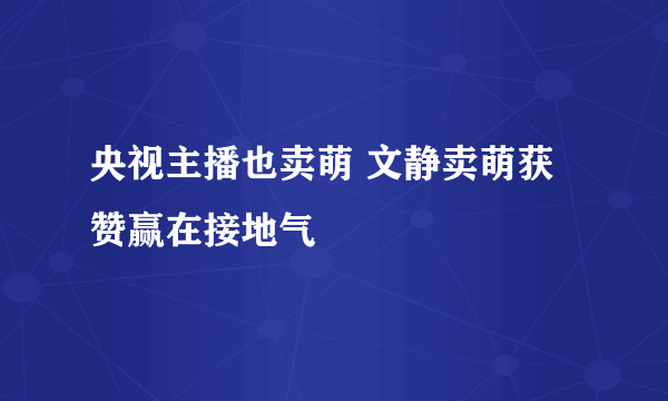 央视主播也卖萌 文静卖萌获赞赢在接地气