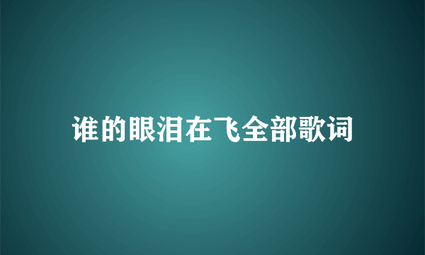 谁的眼泪在飞全部歌词