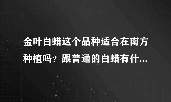 金叶白蜡这个品种适合在南方种植吗？跟普通的白蜡有什么区别？