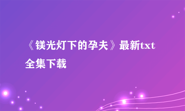 《镁光灯下的孕夫》最新txt全集下载