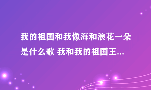 我的祖国和我像海和浪花一朵是什么歌 我和我的祖国王菲版歌词完整版