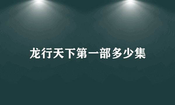 龙行天下第一部多少集