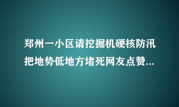 郑州一小区请挖掘机硬核防汛把地势低地方堵死网友点赞：有备无患-飞外