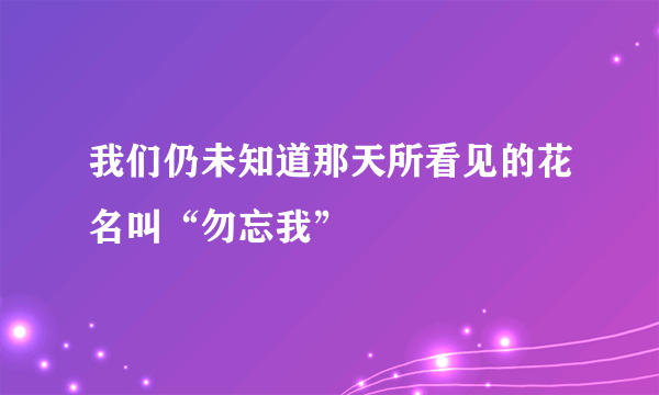 我们仍未知道那天所看见的花名叫“勿忘我”