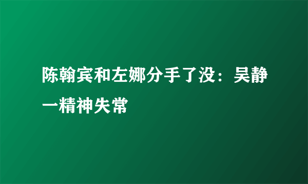 陈翰宾和左娜分手了没：吴静一精神失常