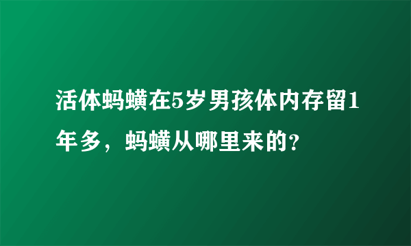 活体蚂蟥在5岁男孩体内存留1年多，蚂蟥从哪里来的？