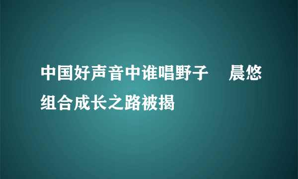 中国好声音中谁唱野子    晨悠组合成长之路被揭