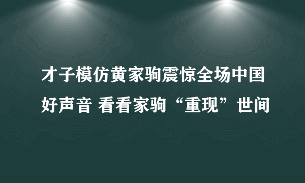 才子模仿黄家驹震惊全场中国好声音 看看家驹“重现”世间