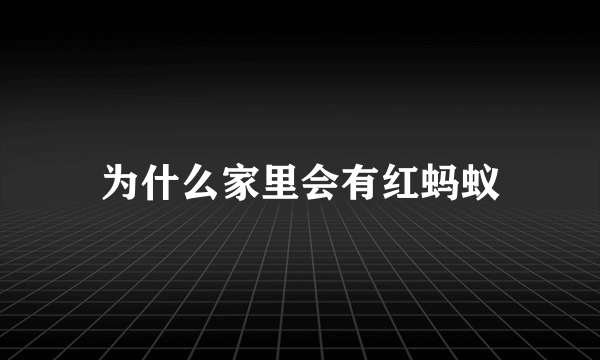 为什么家里会有红蚂蚁