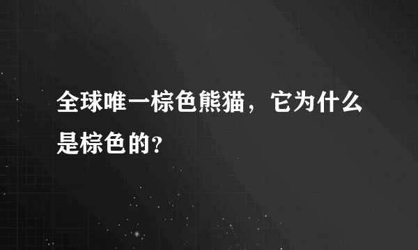 全球唯一棕色熊猫，它为什么是棕色的？