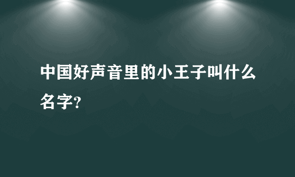 中国好声音里的小王子叫什么名字？