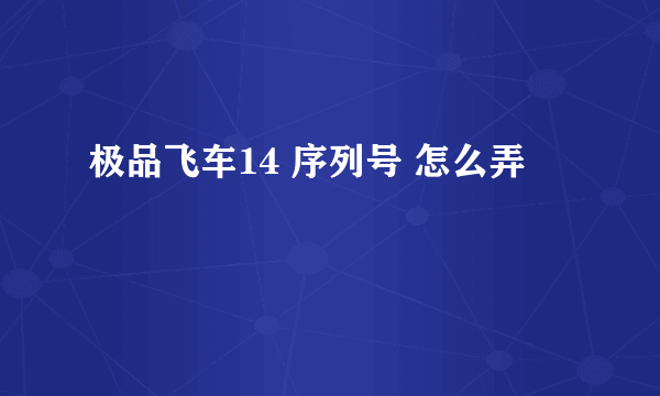 极品飞车14 序列号 怎么弄