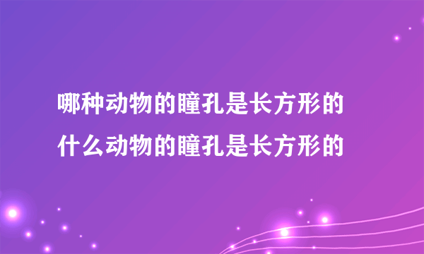 哪种动物的瞳孔是长方形的 什么动物的瞳孔是长方形的