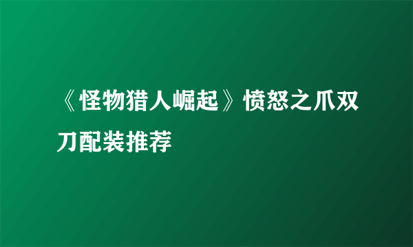 《怪物猎人崛起》愤怒之爪双刀配装推荐