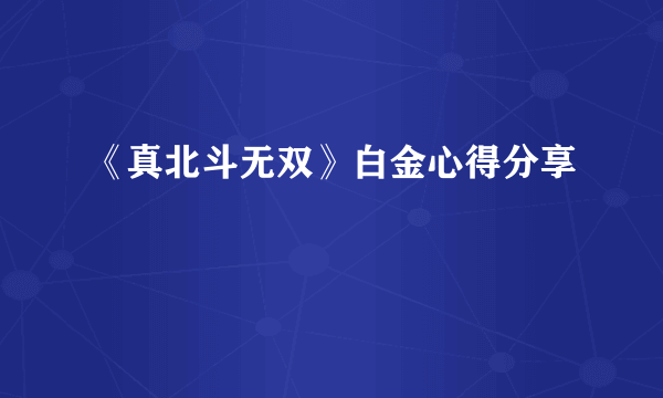 《真北斗无双》白金心得分享