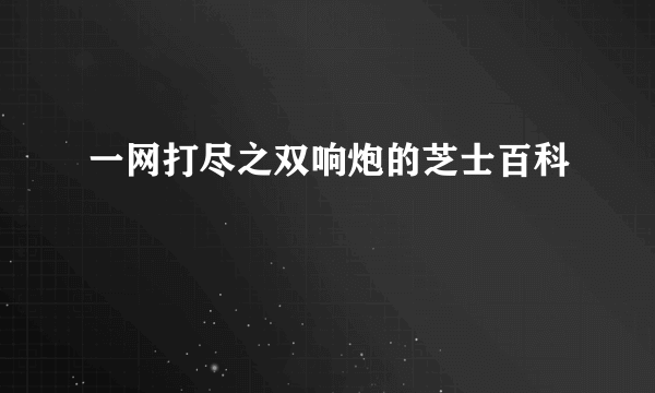 一网打尽之双响炮的芝士百科