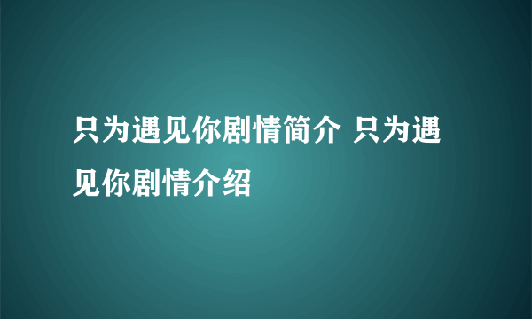 只为遇见你剧情简介 只为遇见你剧情介绍