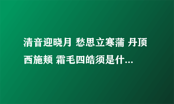 清音迎晓月 愁思立寒蒲 丹顶西施颊 霜毛四皓须是什么鸟 成语是什么