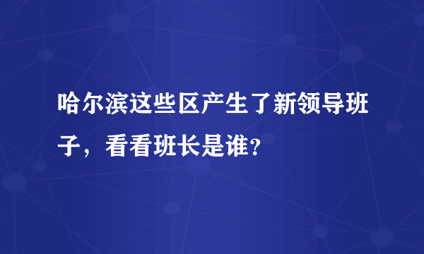 哈尔滨这些区产生了新领导班子，看看班长是谁？