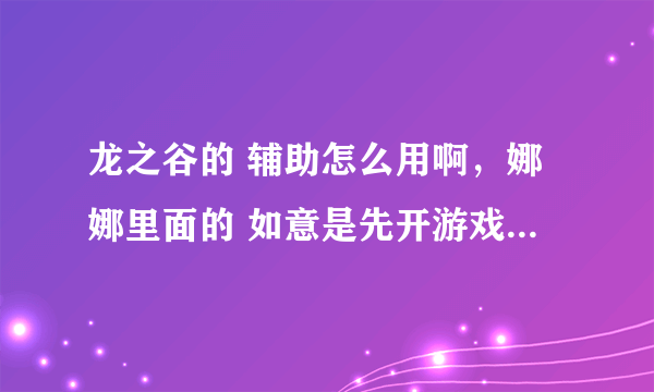 龙之谷的 辅助怎么用啊，娜娜里面的 如意是先开游戏还是先开辅助啊