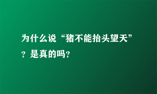 为什么说“猪不能抬头望天”？是真的吗？