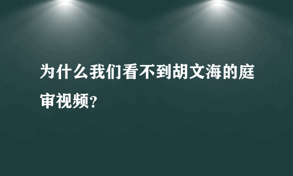 为什么我们看不到胡文海的庭审视频？