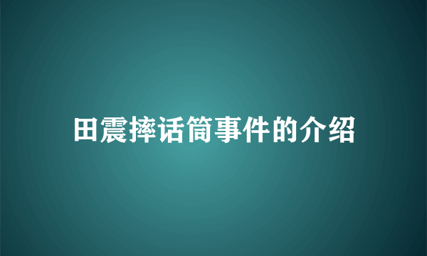 田震摔话筒事件的介绍